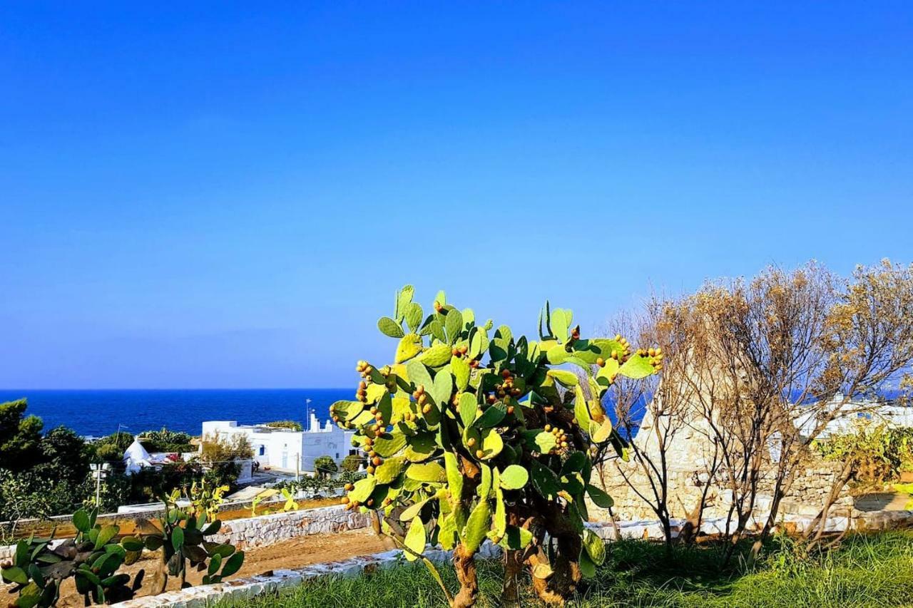 Livia * Polignano a Mare
